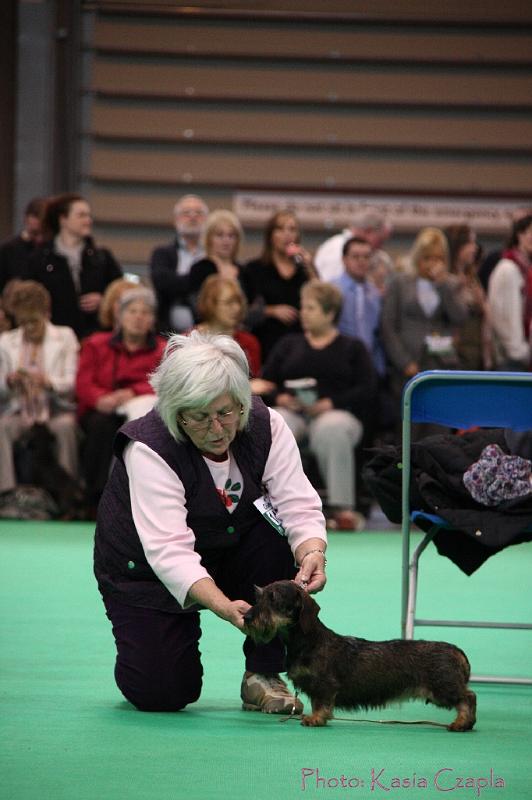 Crufts2011_2 1093.jpg